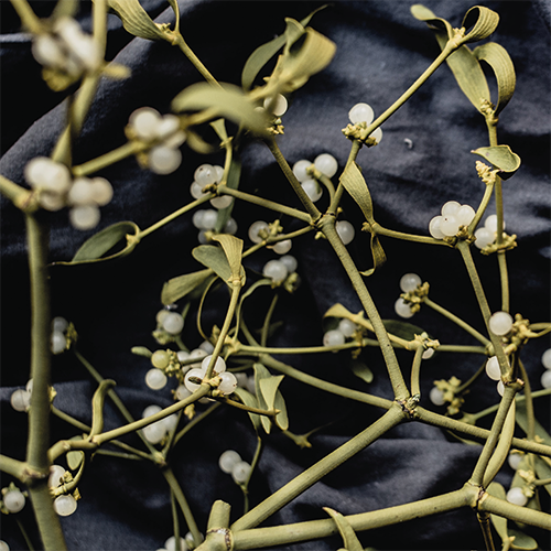 Paneel: 988 x 988 mm. <br>Christmas wishes beeld