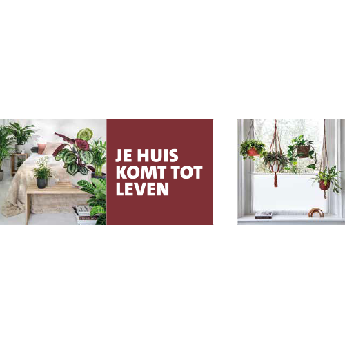 Paneel Koofsigning set: 1988 x 988mm + 988 x 988mm. Je huis komt tot leven