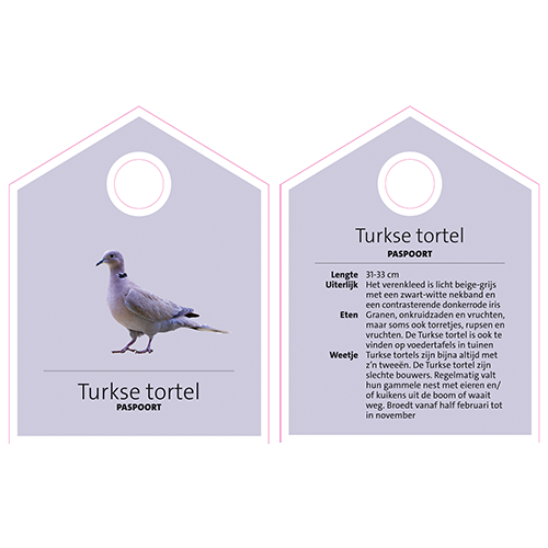 Paneel: 150 x 195 mm. <br>Turkse tortel