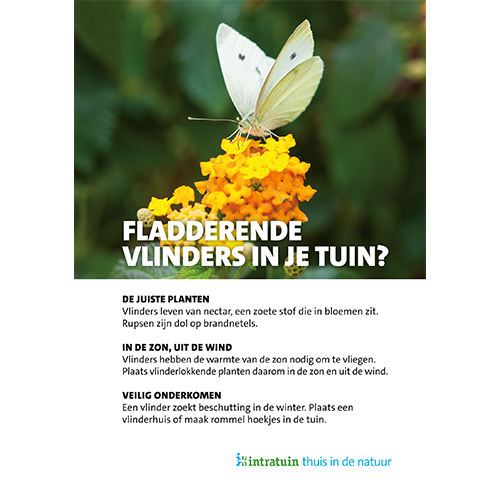 Magneetfolie: 985 x 1400 mm. <br>Fladderende vlinders