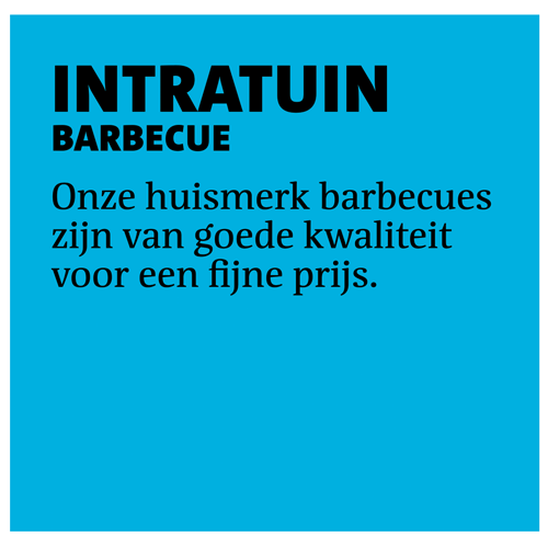 Paneel: 438 x 428 mm. <br>BBQ palletbord <br>intratuin