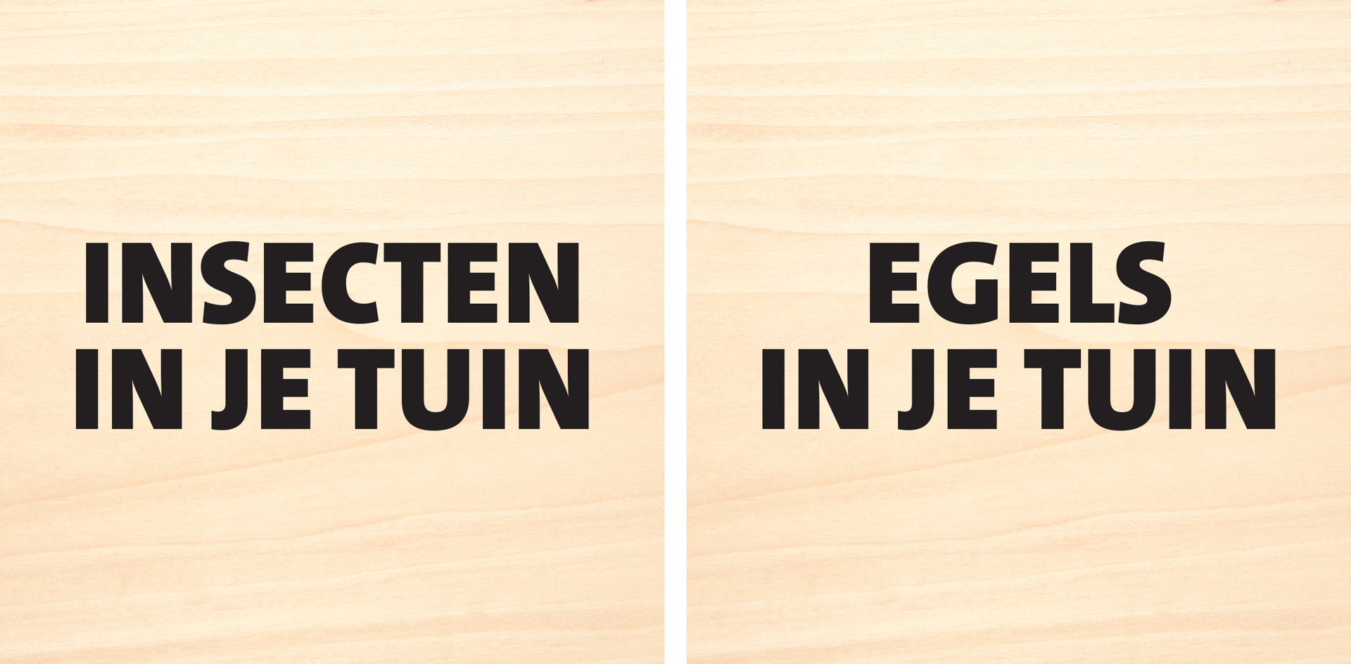 Paneel Koofsigning: 988 x 988 mm. Insecten en Egels