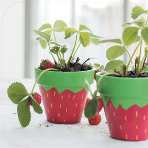 Paneel: 720 x 720 mm. <br>Eigen kweek beeld