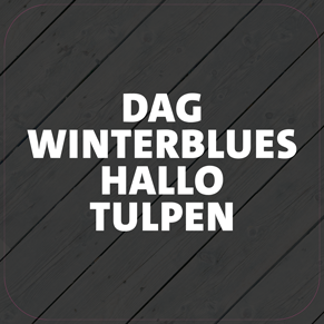 Paneel: 720 x 720 mm. <br>Winterblues