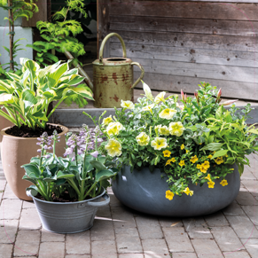 Paneel: 720 x 720 mm. <br>Plantenbakken beeld