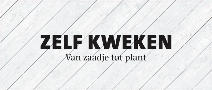 Paneel: 1720 x 720 mm. <br>Zelf kweken