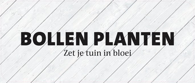 Paneel: 1720 x 720 mm. <br>Bollen