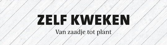 Paneel: 2720 x 720 mm. <br>Zelf kweken