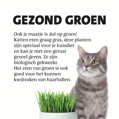 Magneetfolie: 438 x 428 mm. <br>Palletbord eetbare planten