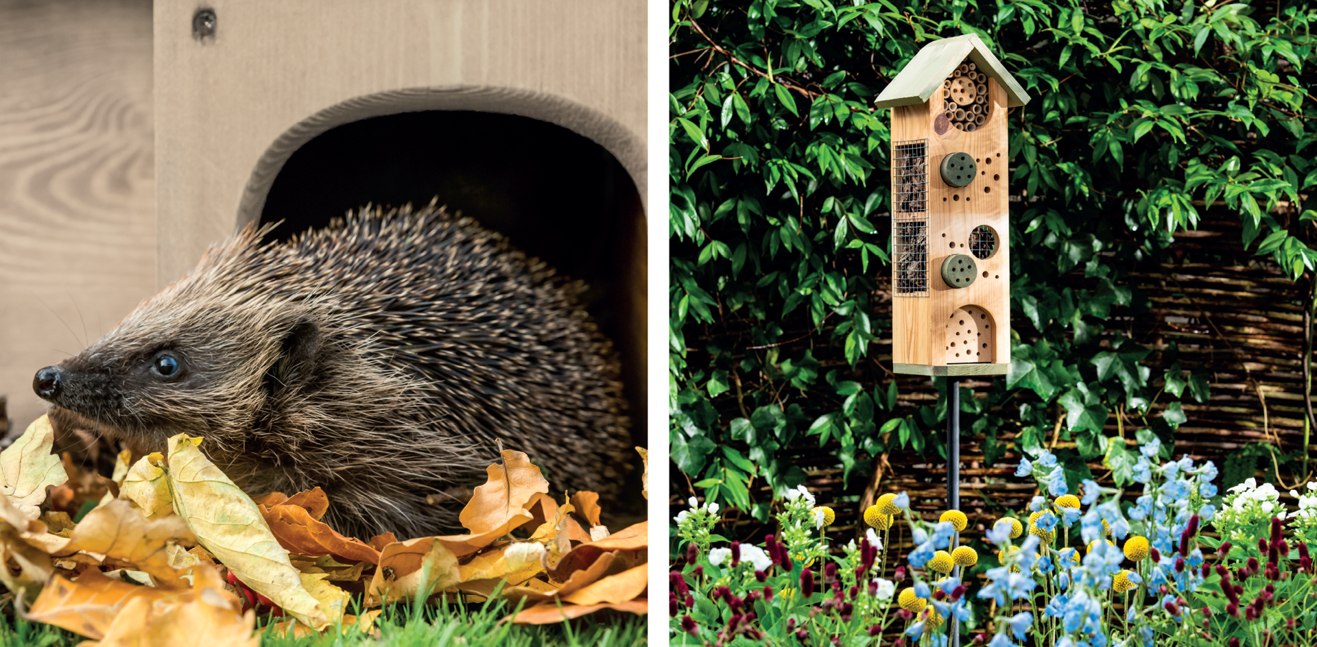 Paneel Koofsigning: 988 x 988 mm. Egels en Insectenhuis