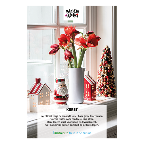 Poster: 700 x 1000 mm. <br>Kerst