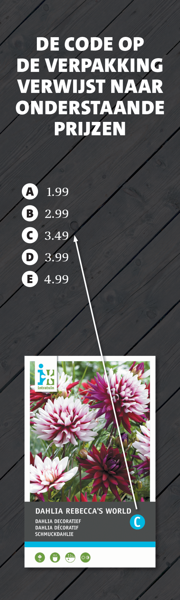 Paneel: 150 x 500 mm. <br>Lettercodekaart zomer